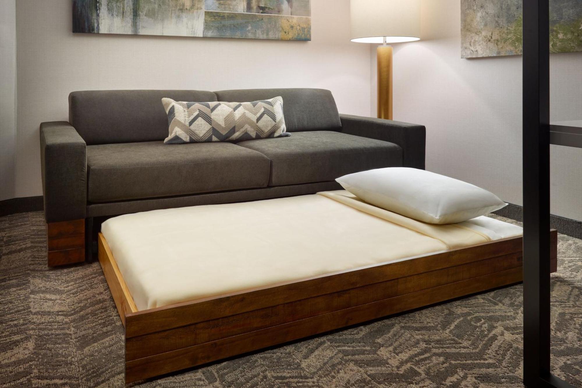 Springhill Suites By Marriott Arlington Tn Eksteriør billede